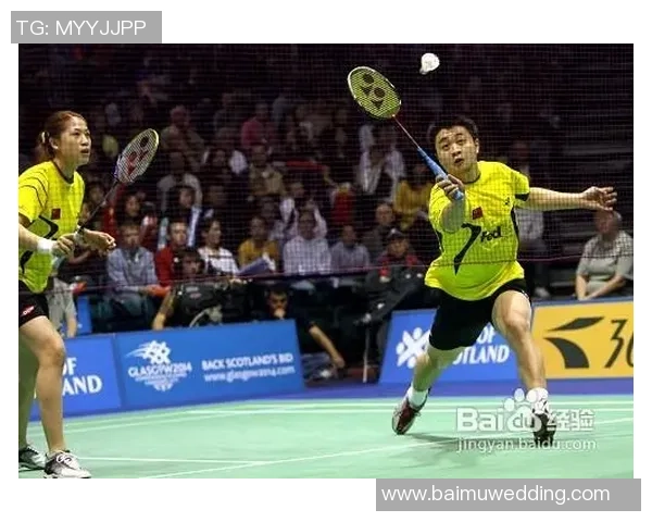 深入分析成都羽毛球队区域防守战术及其在比赛中的应用效果